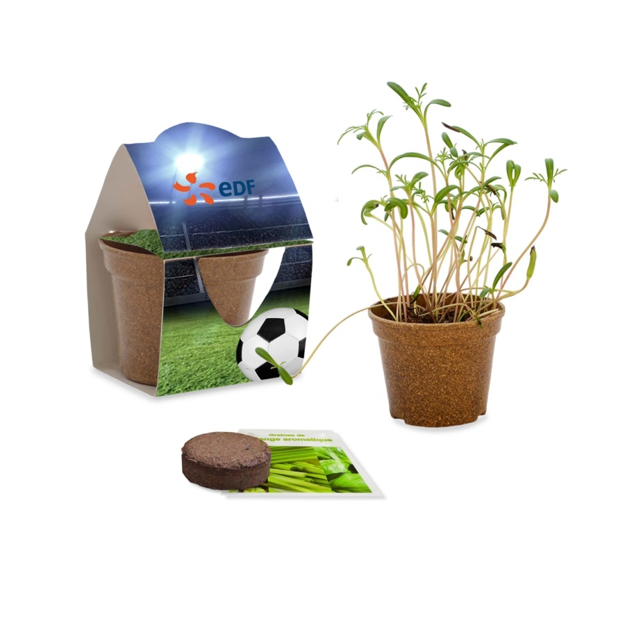 Flowerpot Eco | Eco promotional gift
